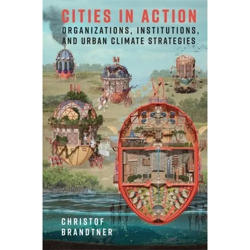 Cities in Action: Organizations, Institutions, and Urban Climate Strategies - Paperback