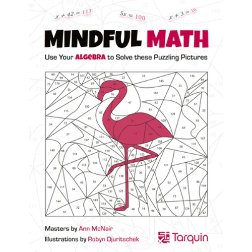 Mindful Math 1: Use Your Algebra to Solve These Puzzling Pictures Volume 1 - Paperback