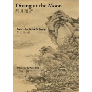 Diving at the Moon - Paperback