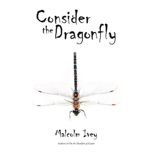 Consider the Dragonfly - Paperback