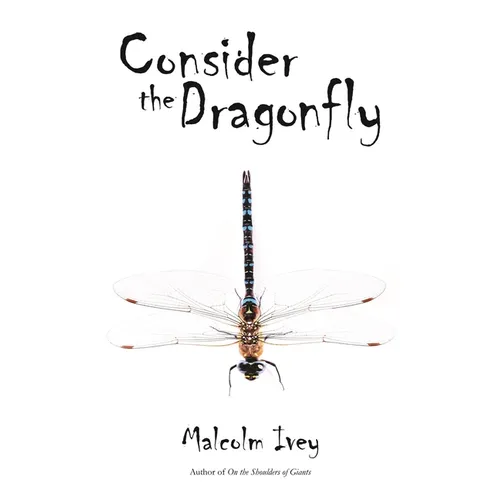 Consider the Dragonfly - Paperback