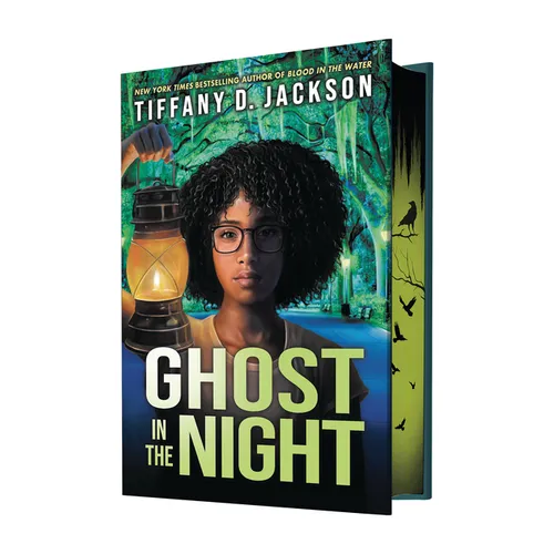 Ghost in the Night - Hardcover