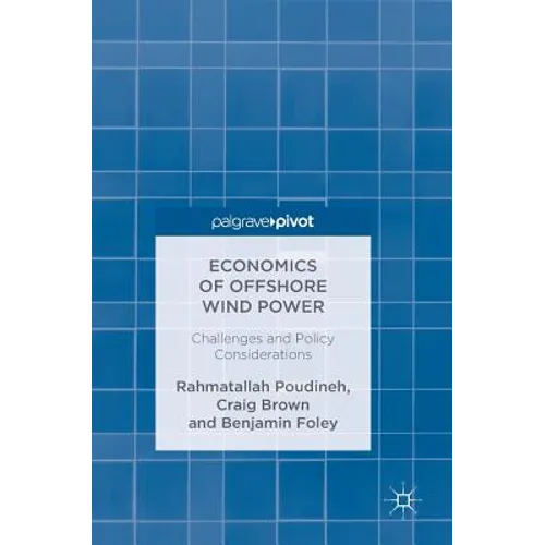 Economics of Offshore Wind Power: Challenges and Policy Considerations - Hardcover