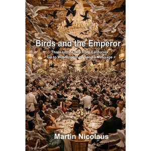 Birds and the Emperor: Three Little Owls from California Go to Washington to Send a Message - Paperback