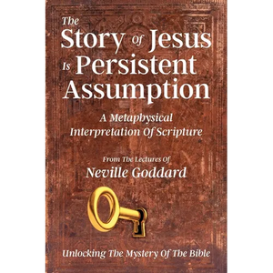 The Story Of Jesus Is Persistent Assumption: A Metaphysical Interpretation of Scripture - Paperback