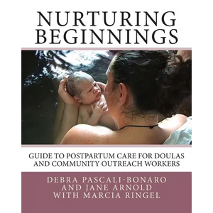 Nurturing Beginnings: Guide to Postpartum Care for Doulas and Community Outreach Workers - Paperback