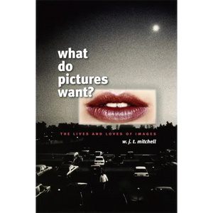 What Do Pictures Want?: The Lives and Loves of Images - Paperback