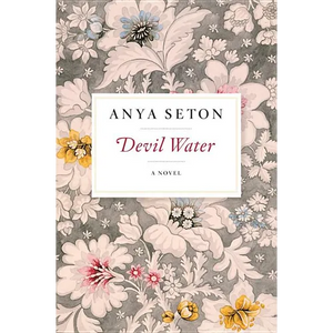 Devil Water - Paperback