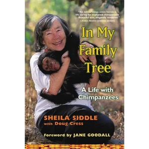 In My Family Tree: A Life with Chimpanzees - Paperback