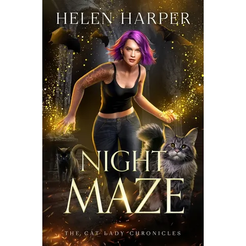 Night Maze - Paperback