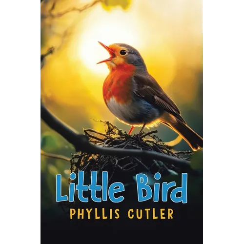 Little Bird - Paperback
