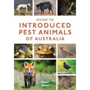 Guide to Introduced Pest Animals of Australia - Paperback