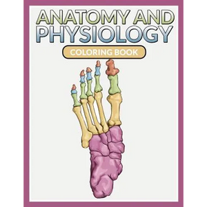 Anatomy And Physiology Coloring Book - Paperback