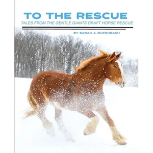 To the Rescue: Tales from the Gentle Giants Draft Horse Rescue - Paperback