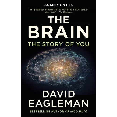 The Brain: The Story of You - Paperback