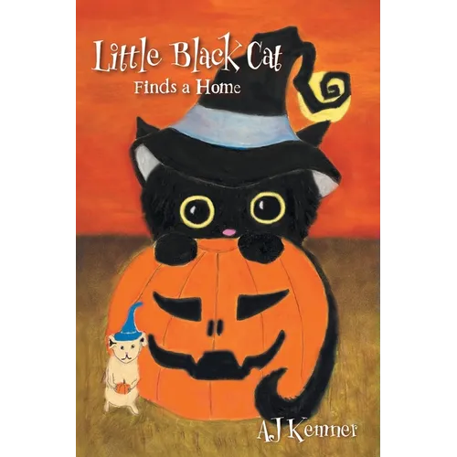 Little Black Cat Finds a Home - Hardcover