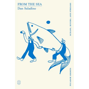 From the Sea (Picador Shorts) - Paperback