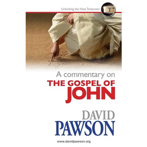 A Commentary on the Gospel of John - Paperback