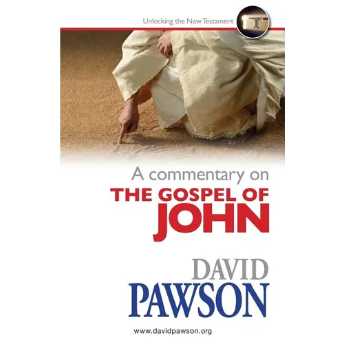 A Commentary on the Gospel of John - Paperback