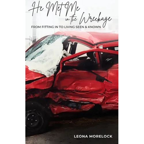 He Met Me in the Wreckage - Paperback