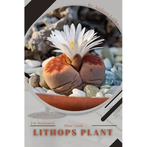 Lithops Plant: Plant Guide - Paperback