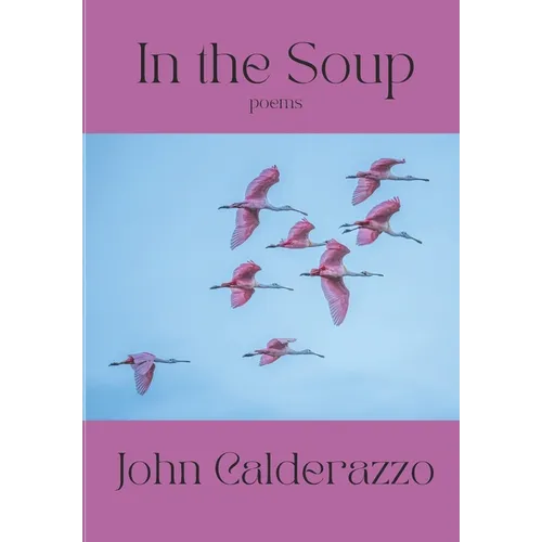 In The Soup - Paperback