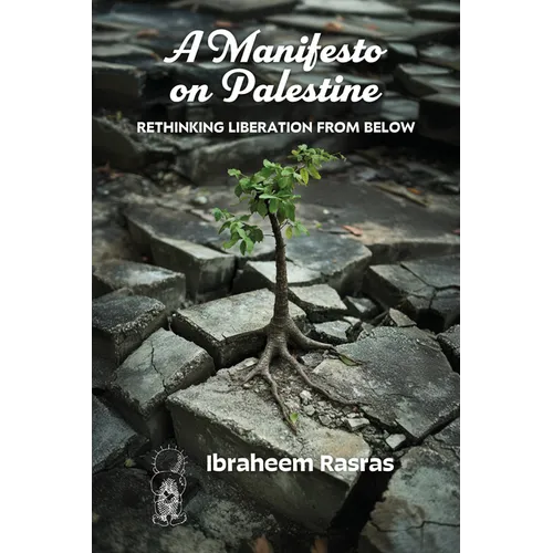 A Manifesto on Palestine: Rethinking Liberation from Below - Paperback