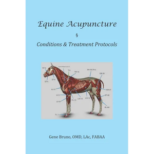 Equine Acupuncture - Conditions & Treatment Protocols - Paperback