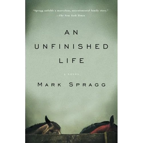 An Unfinished Life - Paperback