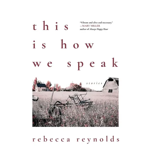 This Is How We Speak: Stories - Paperback
