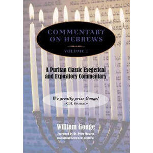 Commentary on Hebrews: Exegetical & Expository - Vol. 1 (PB) - Paperback