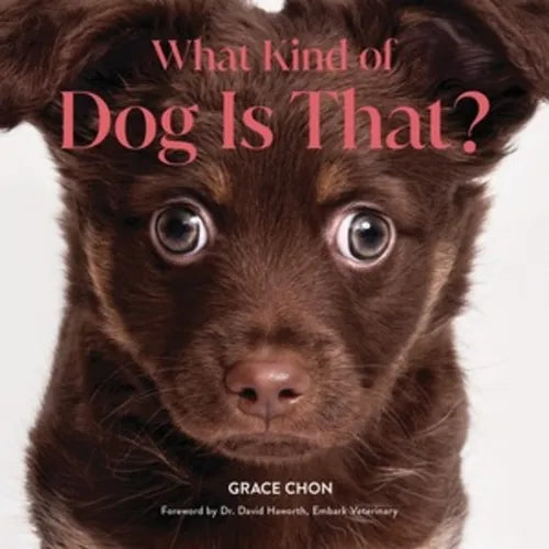 What Kind of Dog Is That? - Hardcover