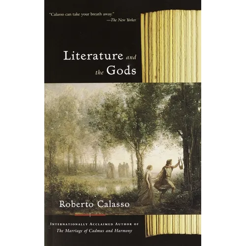 Literature and the Gods - Paperback