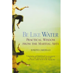 Be Like Water: Practical Wisdom from the Martial Arts - Paperback