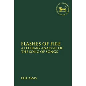 Flashes of Fire: A Literary Analysis of the Song of Songs - Paperback