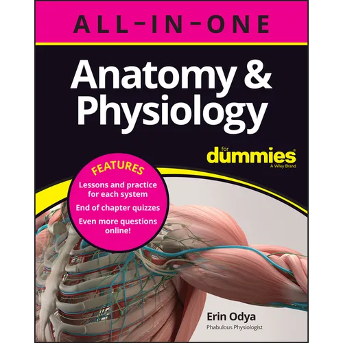 Anatomy & Physiology All-In-One for Dummies (+ Chapter Quizzes Online) - Paperback