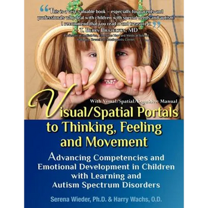 Visual/Spatial Portals to Thinking, Feeling and Movement: Advancing Competencies and Emotional Development in Children with Learning and Autism Spectr - Paperback