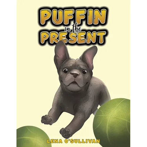 Puffin in the Present - Paperback