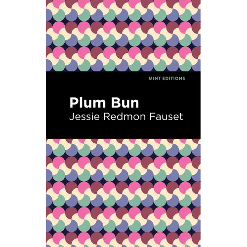 Plum Bun: A Novel Without a Moral - Paperback