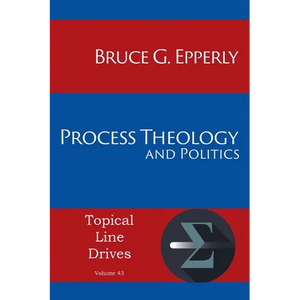 Process Theology and Politics - Paperback