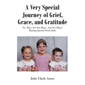 A Very Special Journey of Grief, Grace, and Gratitude: No, They Are Not Okay...but It's Okay! Raising Special Needs Kids - Paperback