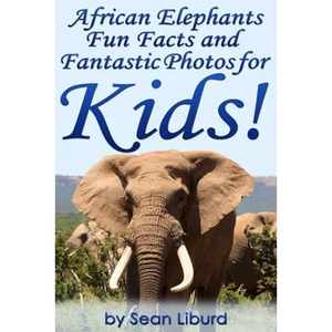 African Elephants Fun Facts and Fantastic Photos for Kids!: Learn About African Animals - Paperback