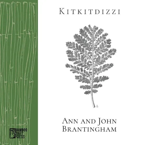 Kitkitdizzi: A Non-Linear Memoir of the High Sierra - Paperback