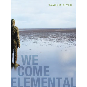 We Come Elemental - Paperback