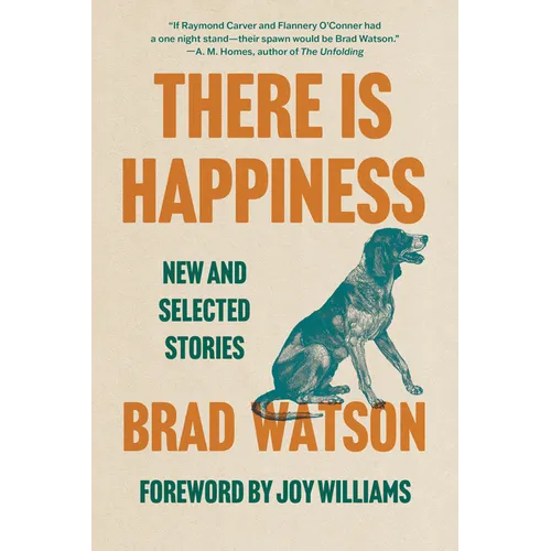 There Is Happiness: New and Selected Stories - Paperback