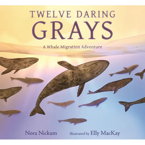 Twelve Daring Grays: A Whale Migration Adventure - Hardcover