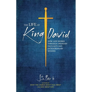 The Life of King David: How God Works Through Ordinary Outcasts and Extraordinary Sinners - Paperback