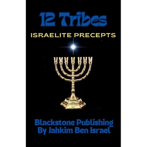12 Tribes: Israelite Precepts - Paperback