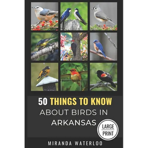 50 Things to Know about Birds in Arkansas Large Print: Birding in the Natural State - Paperback