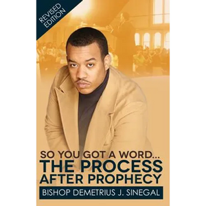 The Process After Prophecy: So you got a word... - Paperback